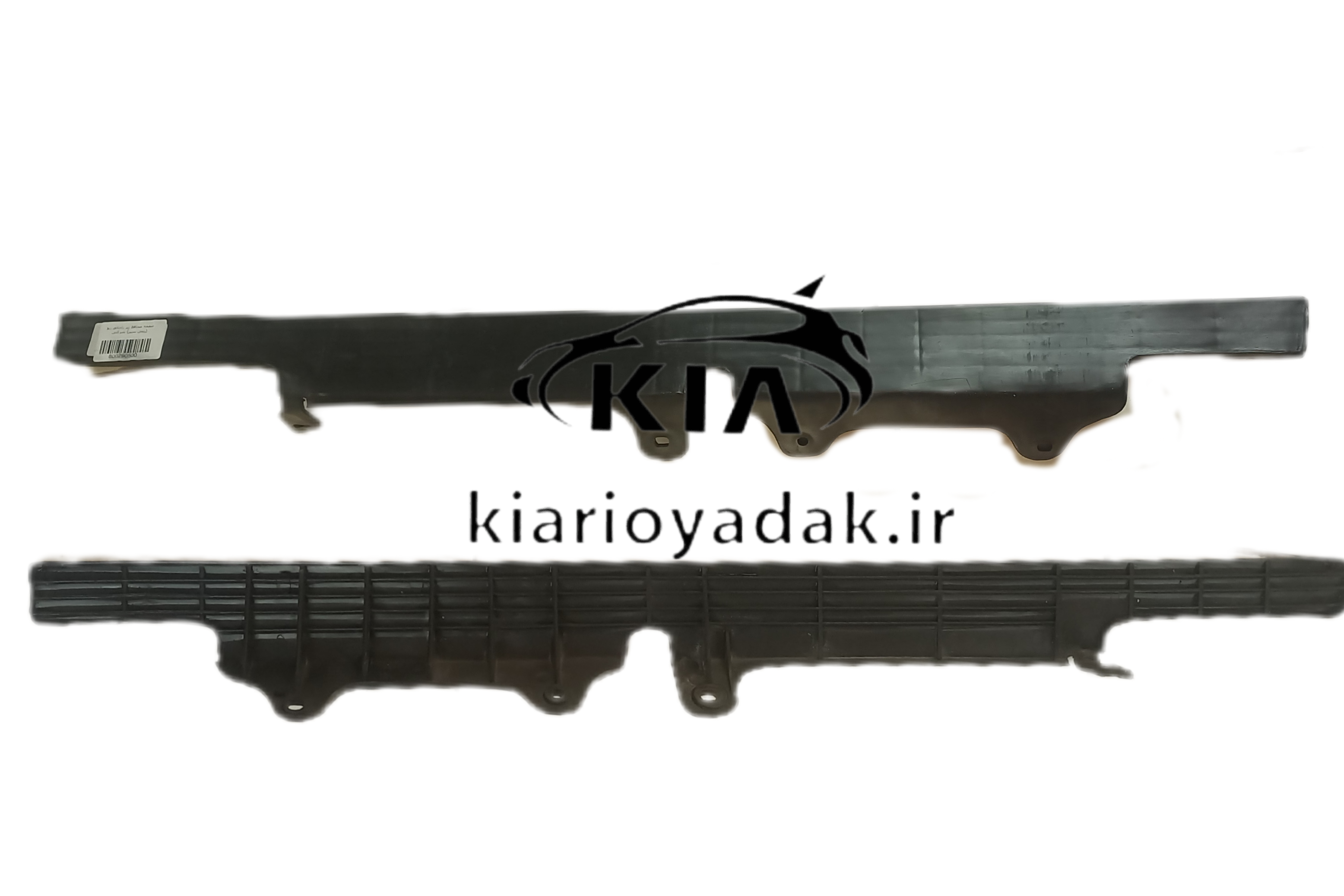 محافظ رادیاتور ریو