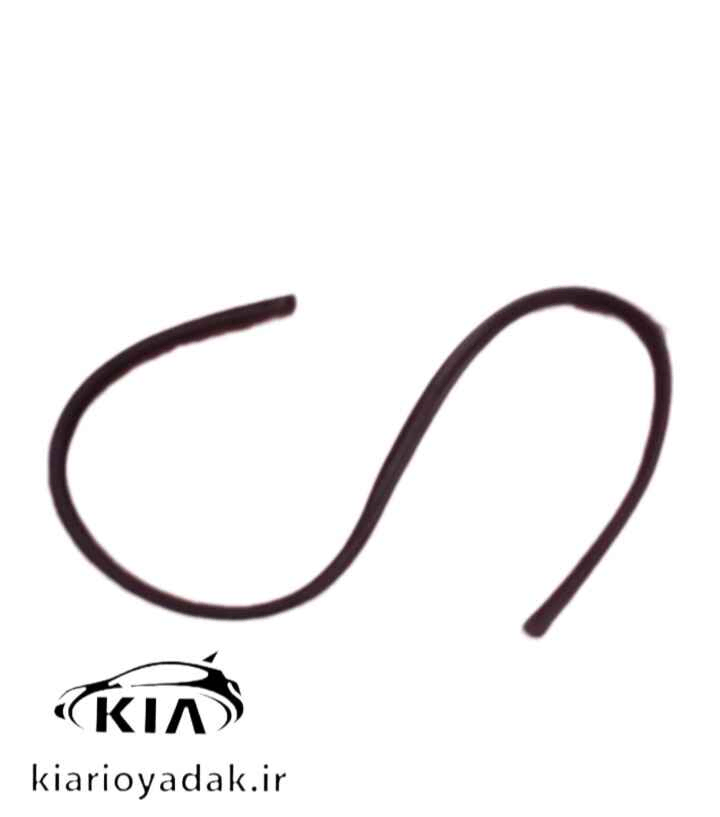 خرید نوار کلاف درب ریو اصلی از کیاریویدک