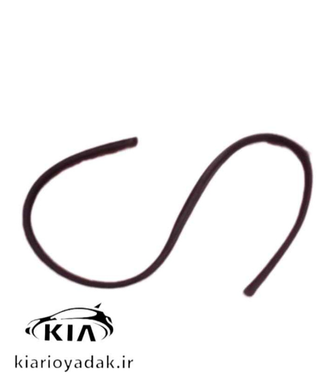 خرید نوار کلاف لاستیک دور درب ریو اصلی کیاموتورز از کیاریویدک