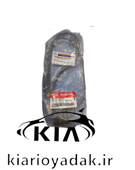 سنسور ABS چرخ عقب چپ کیا ریو سایپا | جنیون پارت