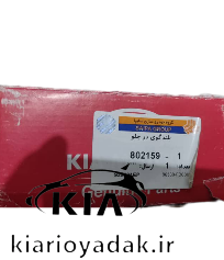 خرید اسپیکر و بلندگوی اصلی ریو از کیاریویدک