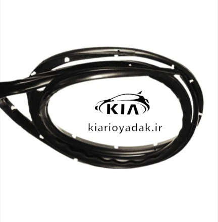 نوار دور درب جلو چپ ریو