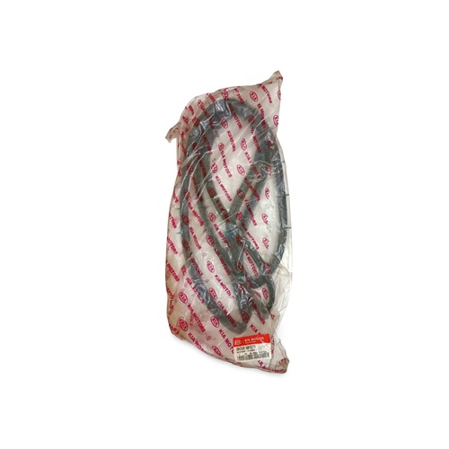 نوار دور درب ریو (جلو راست) - اصلی کیاموتورز