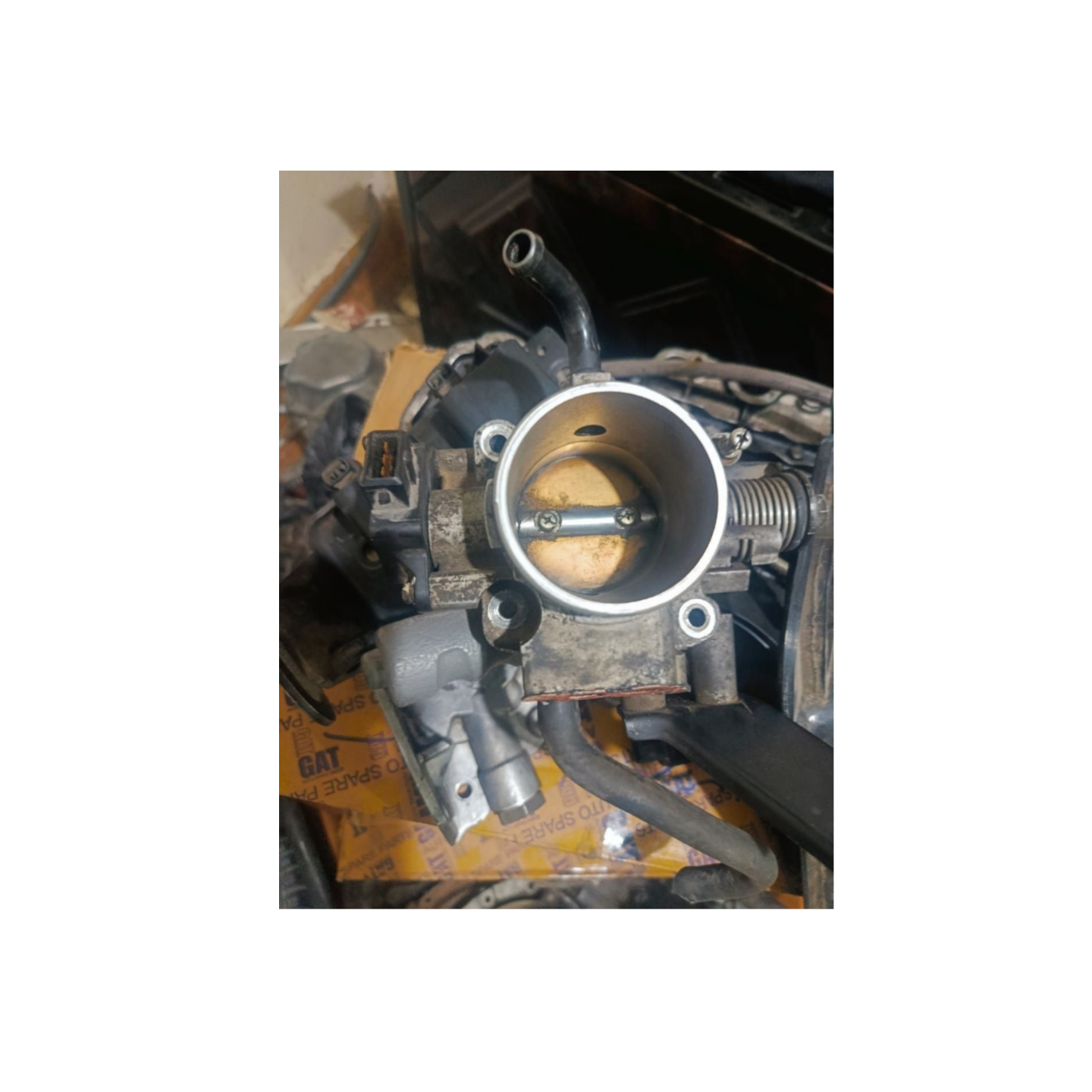 دریچه گاز ریو