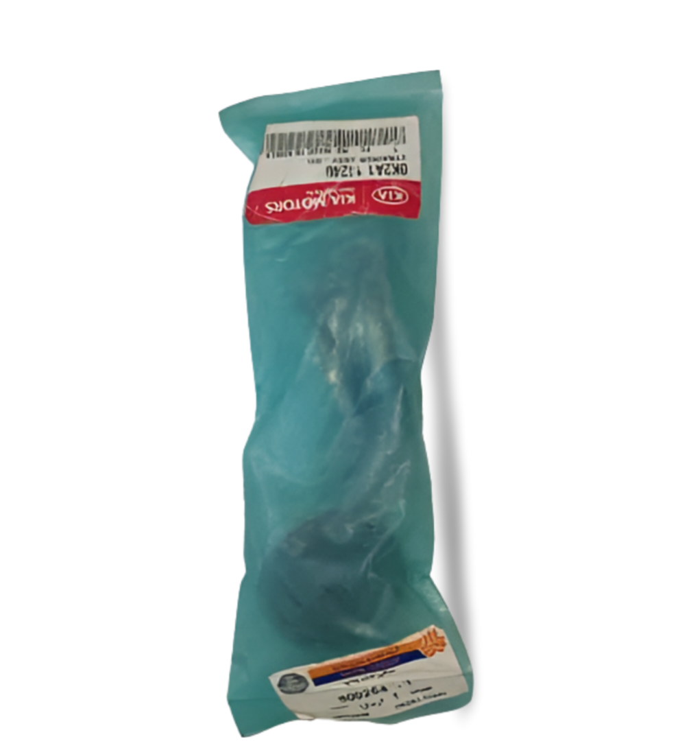 صافی اویل پمپ ریو - اصلی کیاموتورز جنیون پارت