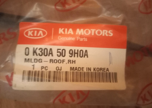 زه سقف ریو آبگیر سقف اصلی کیاموتورز